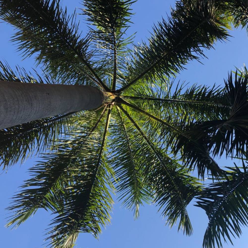 Meet your Posher, Chantelle